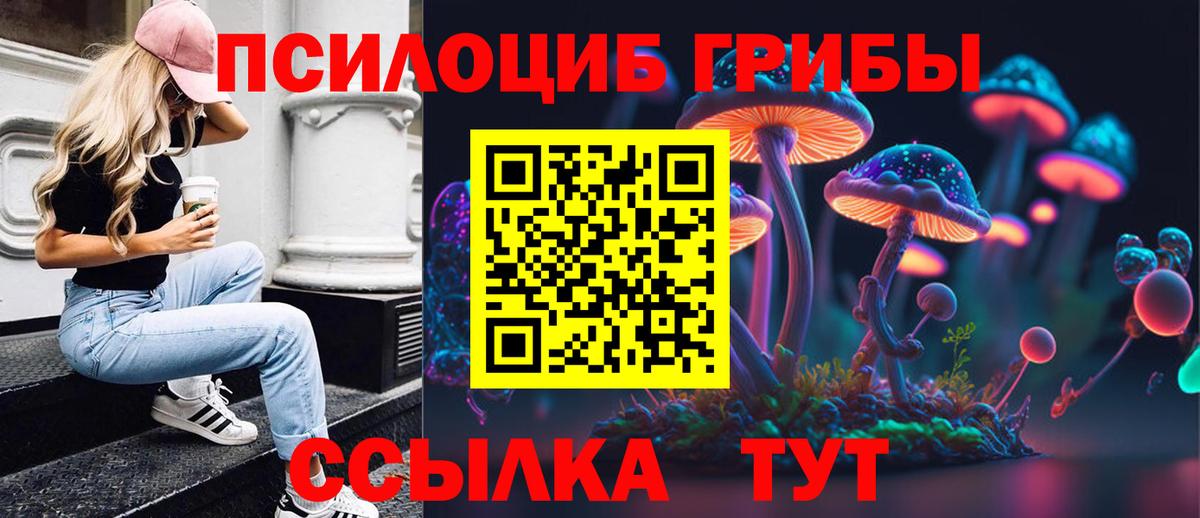 Псилоцибиновые грибы Psilocybine cubensis  Галлюциногенные грибы Psilocybine cubensis  Вход с VPN  даркнет сайт  Губаха 